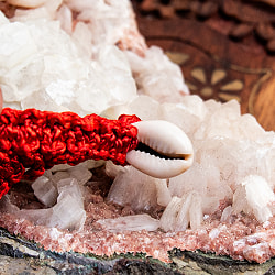 タカラガイのブレスレット ヴィシュヌ神のシンボル - サブ2