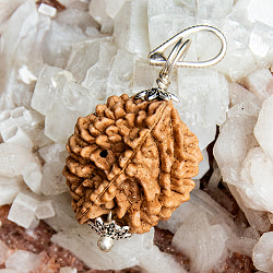 【2面】鑑定書付き 聖なる菩提樹 ルドラクシャのペンダントトップ - サブ2