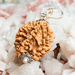 【2面】鑑定書付き 聖なる菩提樹 ルドラクシャのペンダントトップ - サブ3