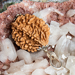 【2面】鑑定書付き 聖なる菩提樹 ルドラクシャのペンダントトップ - サブ5