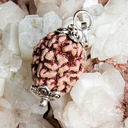 【3面】鑑定書付き 聖なる菩提樹 ルドラクシャのペンダントトップ - サブ3