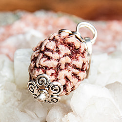 【3面】鑑定書付き 聖なる菩提樹 ルドラクシャのペンダントトップ - サブ4