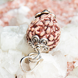 【3面】鑑定書付き 聖なる菩提樹 ルドラクシャのペンダントトップ - サブ5