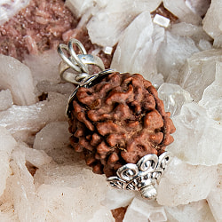 【4面】鑑定書付き 聖なる菩提樹 ルドラクシャのペンダントトップ - サブ3