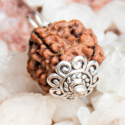 【4面】鑑定書付き 聖なる菩提樹 ルドラクシャのペンダントトップ - サブ4