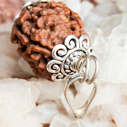 【4面】鑑定書付き 聖なる菩提樹 ルドラクシャのペンダントトップ - サブ5