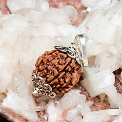 【5面】鑑定書付き 聖なる菩提樹 ルドラクシャのペンダントトップ - サブ3