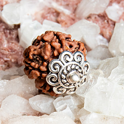 【5面】鑑定書付き 聖なる菩提樹 ルドラクシャのペンダントトップ - サブ4