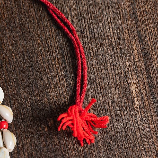 タカラガイの数珠 ラクシュミマーラー 6 - 細部を見てみました。