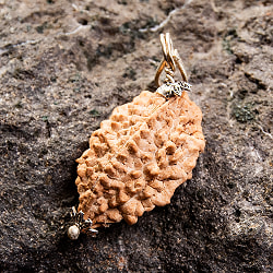 【1点物 2面】鑑定書付き 聖なる菩提樹 ルドラクシャのペンダントトップ 4.84g - サブ2