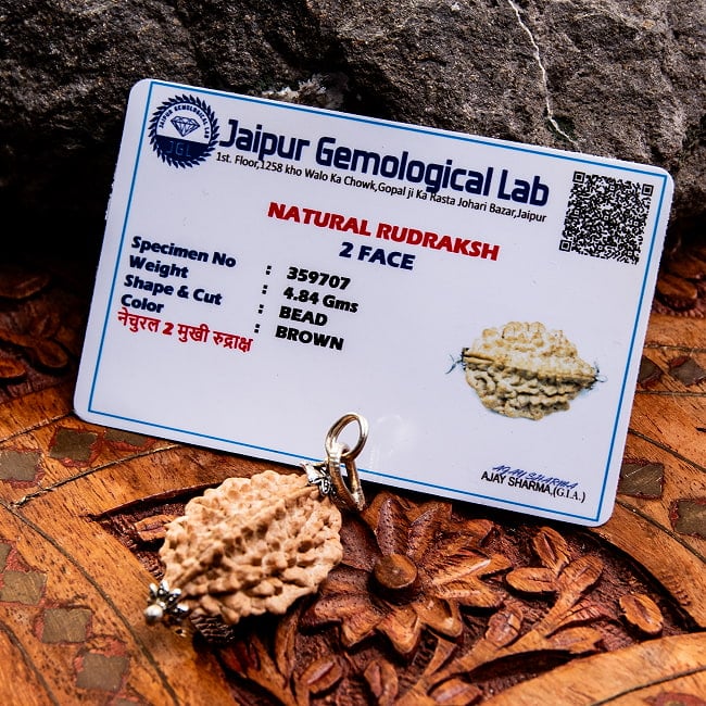 【1点物 2面】鑑定書付き 聖なる菩提樹 ルドラクシャのペンダントトップ 4.84g 6 - 鑑定書が付属します。