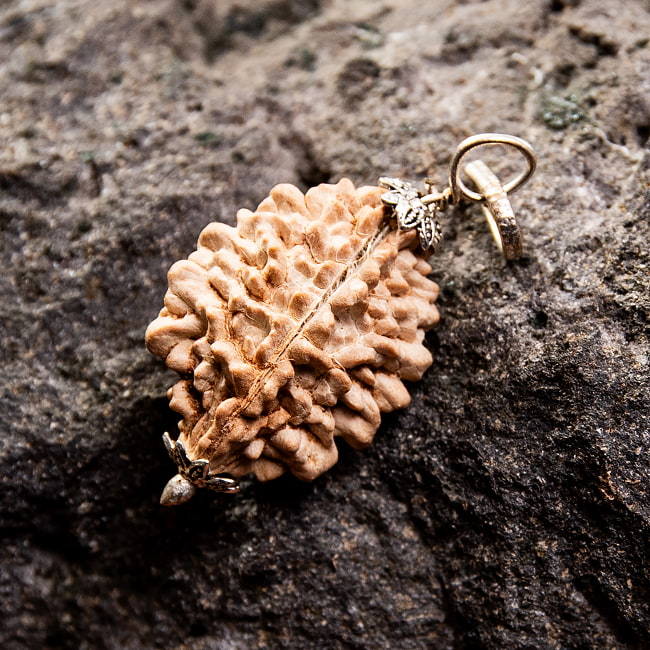 【訳あり特価】【1点物 2面】鑑定書付き 聖なる菩提樹 ルドラクシャのペンダントトップ 3.96g 2 - 裏面を見てみました。