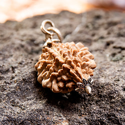 【訳あり特価】【1点物 2面】鑑定書付き 聖なる菩提樹 ルドラクシャのペンダントトップ 3.96g - サブ3