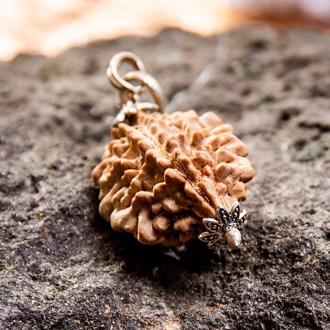 【訳あり特価】【1点物 2面】鑑定書付き 聖なる菩提樹 ルドラクシャのペンダントトップ 3.96g 3 - 角度を変えてみてみました。