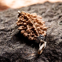 【訳あり特価】【1点物 2面】鑑定書付き 聖なる菩提樹 ルドラクシャのペンダントトップ 3.96g - サブ4