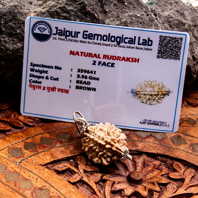 【訳あり特価】【1点物 2面】鑑定書付き 聖なる菩提樹 ルドラクシャのペンダントトップ 3.96g 6 - 鑑定書が付属します。