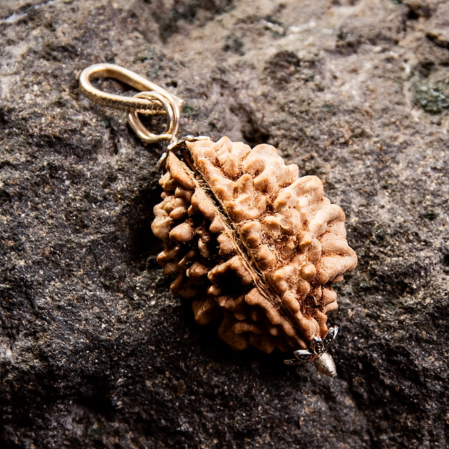 【訳あり特価】【1点物 2面】鑑定書付き 聖なる菩提樹 ルドラクシャのペンダントトップ 3.96gの写真数珠,インドの数珠,ネックレス,首飾り,アクセ,アクセサリー,MALA