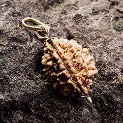 【訳あり特価】【1点物 2面】鑑定書付き 聖なる菩提樹 ルドラクシャのペンダントトップ 3.96gの画像