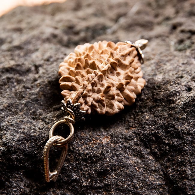 【1点物 2面】鑑定書付き 聖なる菩提樹 ルドラクシャのペンダントトップ 3.51g 3 - 角度を変えてみてみました。