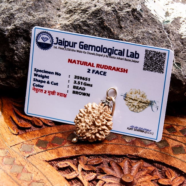 【1点物 2面】鑑定書付き 聖なる菩提樹 ルドラクシャのペンダントトップ 3.51g 6 - 鑑定書が付属します。