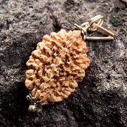 【1点物 2面】鑑定書付き 聖なる菩提樹 ルドラクシャのペンダントトップ 3.89g - サブ2