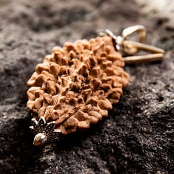 【1点物 2面】鑑定書付き 聖なる菩提樹 ルドラクシャのペンダントトップ 3.89g - サブ3