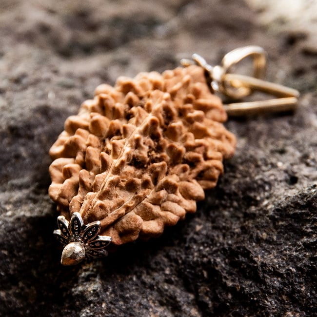 【1点物 2面】鑑定書付き 聖なる菩提樹 ルドラクシャのペンダントトップ 3.89g 3 - 角度を変えてみてみました。