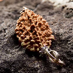 【1点物 2面】鑑定書付き 聖なる菩提樹 ルドラクシャのペンダントトップ 3.89g - サブ4