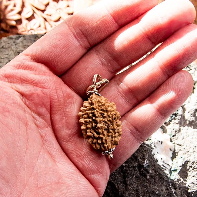 【1点物 2面】鑑定書付き 聖なる菩提樹 ルドラクシャのペンダントトップ 3.89g 5 - これくらいのサイズ感になります。一点ごとに形やサイズは異なります。