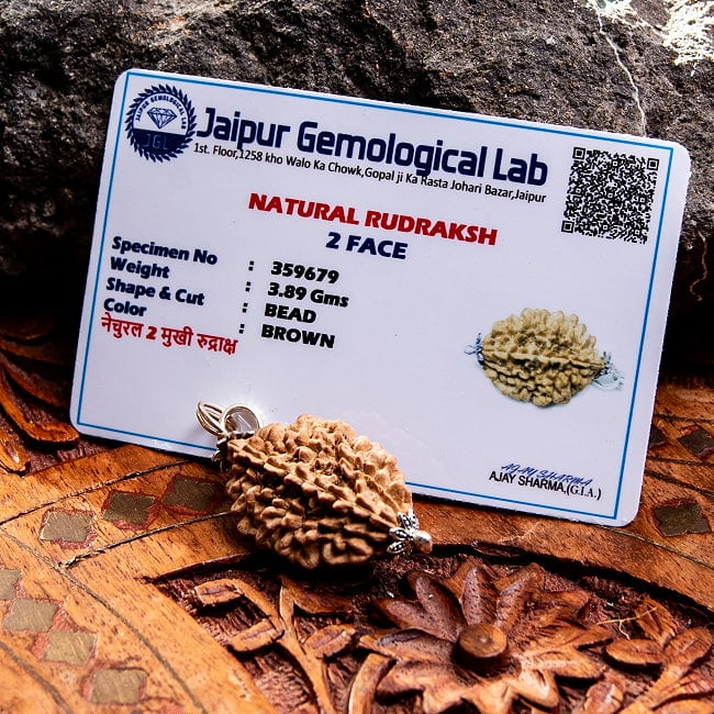 【1点物 2面】鑑定書付き 聖なる菩提樹 ルドラクシャのペンダントトップ 3.89g 6 - 鑑定書が付属します。