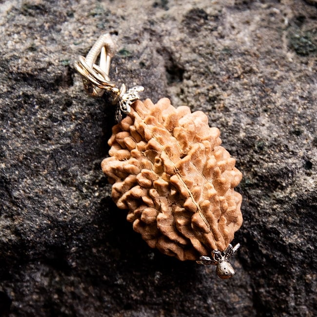 【1点物 2面】鑑定書付き 聖なる菩提樹 ルドラクシャのペンダントトップ 3.89gの写真数珠,インドの数珠,ネックレス,首飾り,アクセ,アクセサリー,MALA