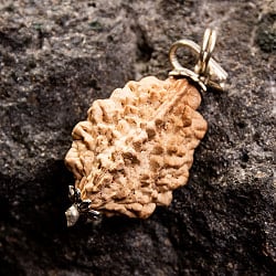 【1点物 2面】鑑定書付き 聖なる菩提樹 ルドラクシャのペンダントトップ 3.59g - サブ2