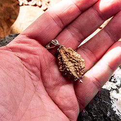 【1点物 2面】鑑定書付き 聖なる菩提樹 ルドラクシャのペンダントトップ 3.59g - サブ5