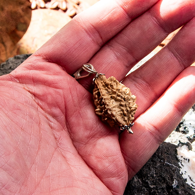 【1点物 2面】鑑定書付き 聖なる菩提樹 ルドラクシャのペンダントトップ 3.59g 5 - これくらいのサイズ感になります。一点ごとに形やサイズは異なります。