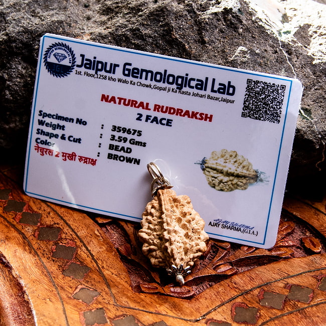 【1点物 2面】鑑定書付き 聖なる菩提樹 ルドラクシャのペンダントトップ 3.59g 6 - 鑑定書が付属します。