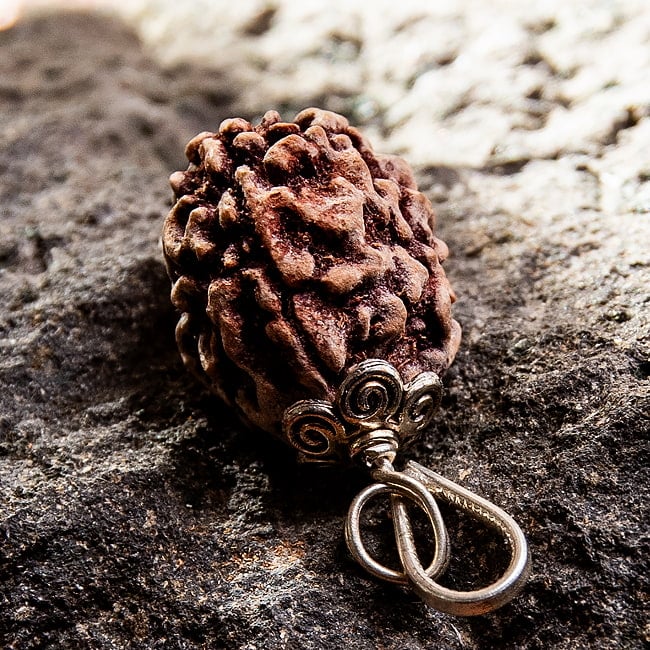 【1点物 3面】鑑定書付き 聖なる菩提樹 ルドラクシャのペンダントトップ 5.45g 3 - 角度を変えてみてみました。