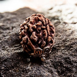 【1点物 3面】鑑定書付き 聖なる菩提樹 ルドラクシャのペンダントトップ 5.45g - サブ4