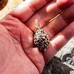 【1点物 3面】鑑定書付き 聖なる菩提樹 ルドラクシャのペンダントトップ 5.45g - サブ5