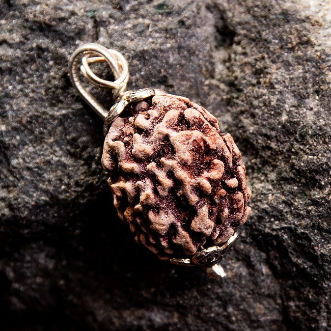 【1点物 3面】鑑定書付き 聖なる菩提樹 ルドラクシャのペンダントトップ 5.45gの写真数珠,インドの数珠,ネックレス,首飾り,アクセ,アクセサリー,MALA