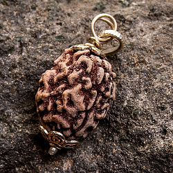 【1点物 3面】鑑定書付き 聖なる菩提樹 ルドラクシャのペンダントトップ 4.97g - サブ2