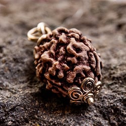 【1点物 3面】鑑定書付き 聖なる菩提樹 ルドラクシャのペンダントトップ 4.97g - サブ3