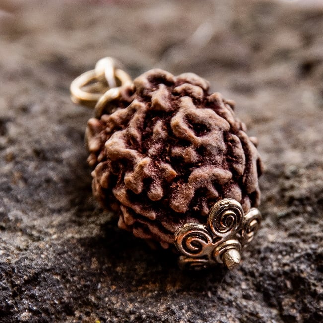 【1点物 3面】鑑定書付き 聖なる菩提樹 ルドラクシャのペンダントトップ 4.97g 3 - 角度を変えてみてみました。