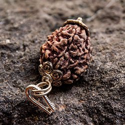 【1点物 3面】鑑定書付き 聖なる菩提樹 ルドラクシャのペンダントトップ 4.97g - サブ4