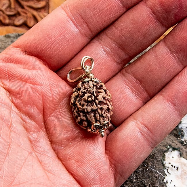 【1点物 3面】鑑定書付き 聖なる菩提樹 ルドラクシャのペンダントトップ 4.97g 5 - これくらいのサイズ感になります。一点ごとに形やサイズは異なります。