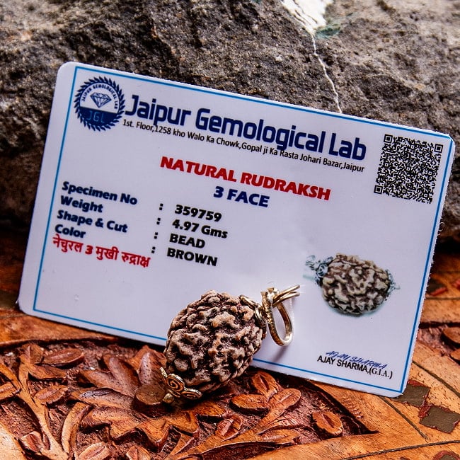 【1点物 3面】鑑定書付き 聖なる菩提樹 ルドラクシャのペンダントトップ 4.97g 6 - 鑑定書が付属します。