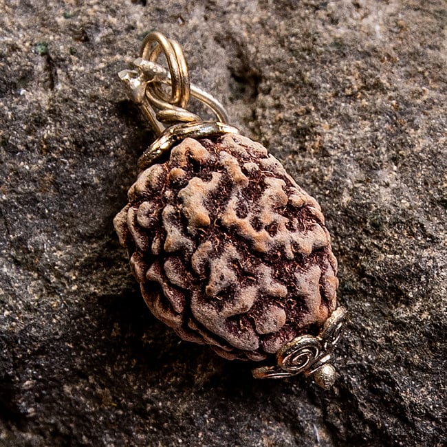 【1点物 3面】鑑定書付き 聖なる菩提樹 ルドラクシャのペンダントトップ 4.97gの写真数珠,インドの数珠,ネックレス,首飾り,アクセ,アクセサリー,MALA