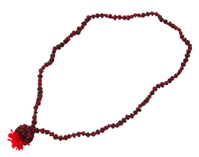 ルドラクシャ(菩提樹)の数珠の写真