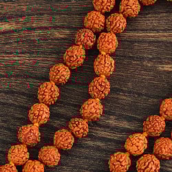 インドの数珠 希少な小粒ルドラクシャ 70cm - サブ3