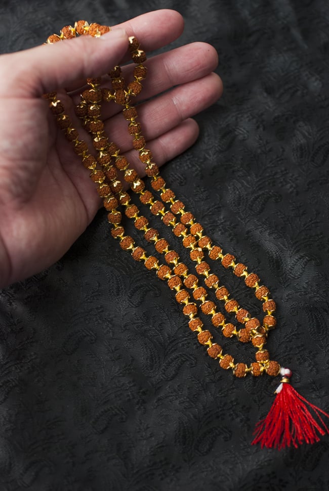 tirakita india beads elementary rudraksha and goldsmith small