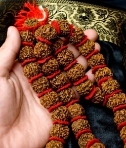 菩提樹の数珠(大粒)-約90cmほど - サブ4